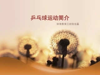 乒乓球运动简介