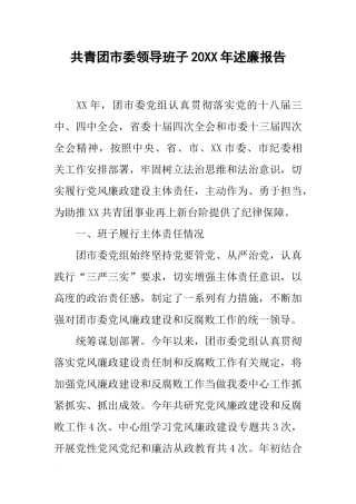 共青团市委领导班子20xx年述廉报告