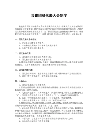 共青团员代表大会制度