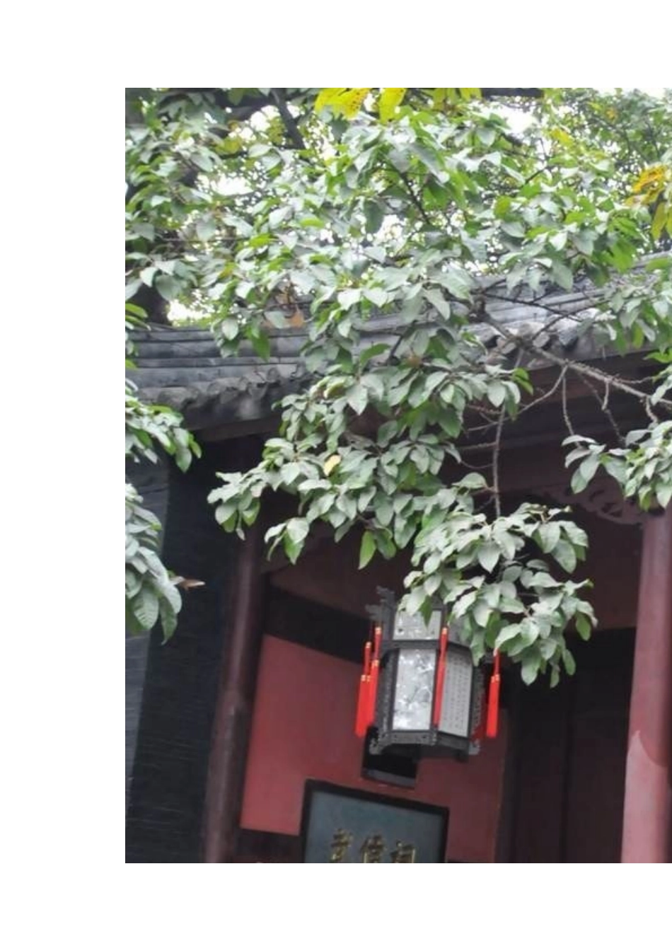 关于成都武侯区传统文化的调查报告_第2页