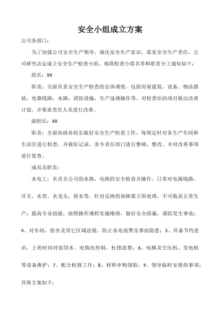 关于成立安全检查小组通知