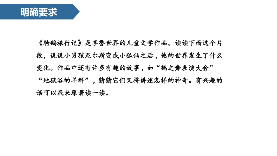 骑鹅旅行记节选优秀版_第2页