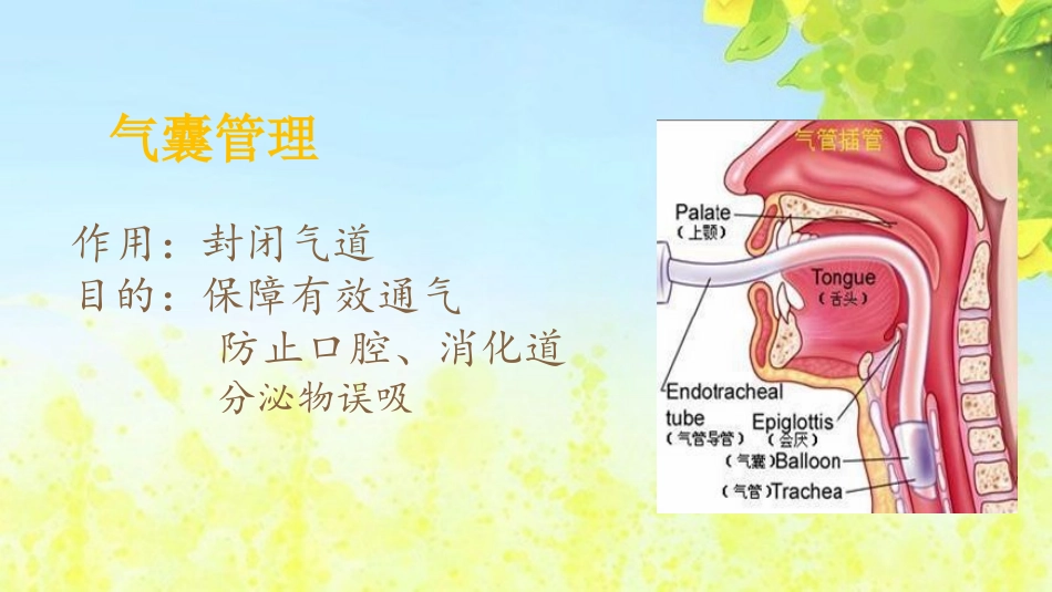 气管导管气囊压力的测定_第3页