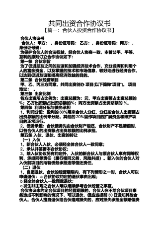 共同出资合作协议书