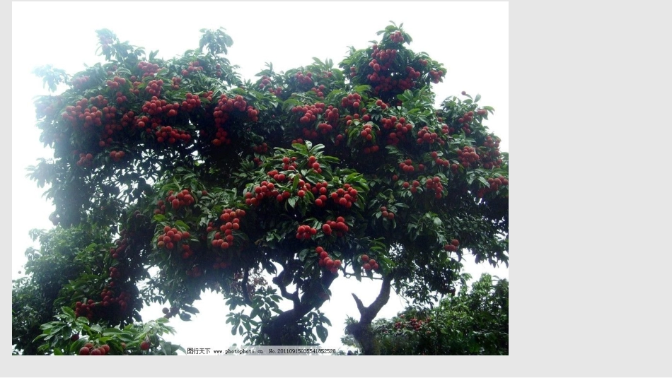 气候对农业的影响_第2页