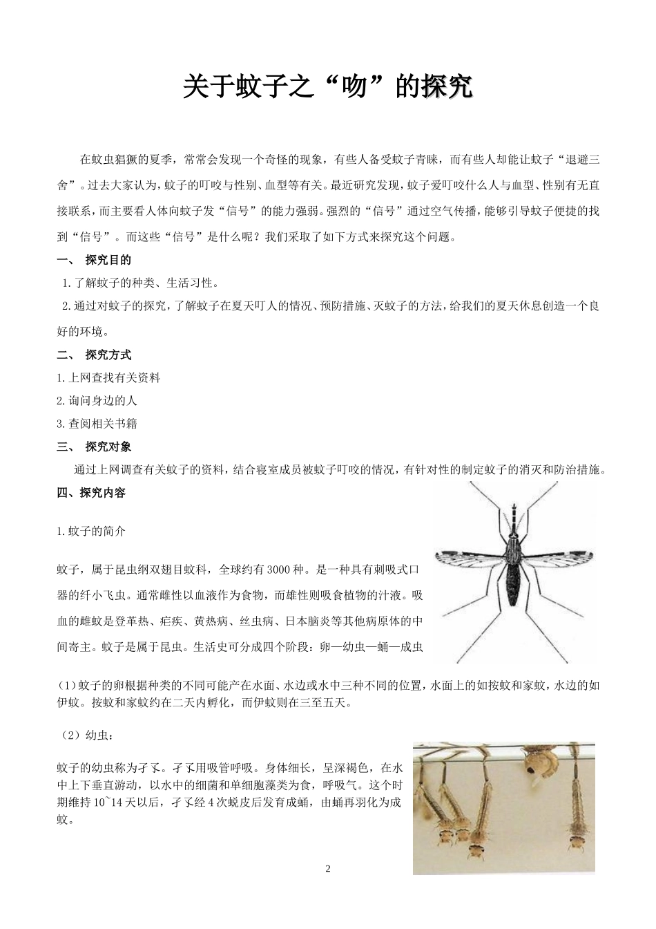 关蚊子的调查报告(同名21880)_第2页