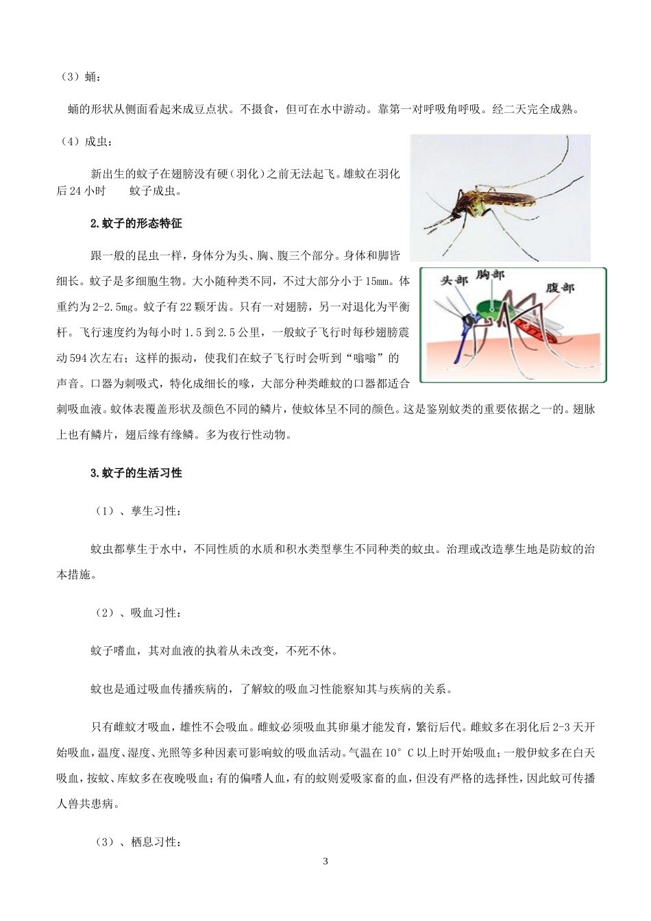 关蚊子的调查报告(同名21880)_第3页