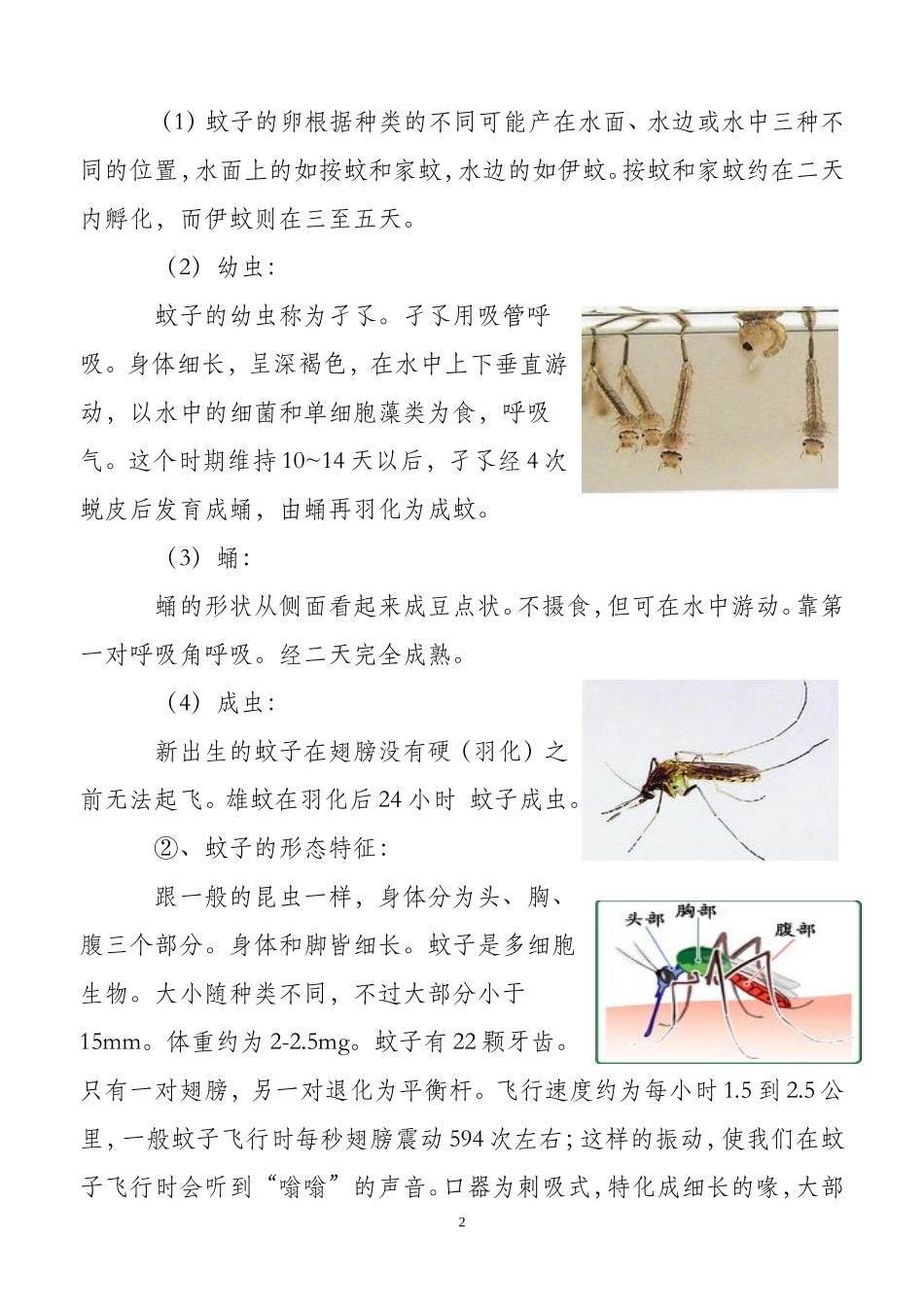 关蚊子的调查报告_第2页