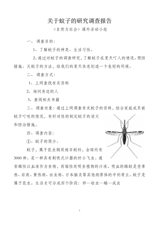 关蚊子的调查报告