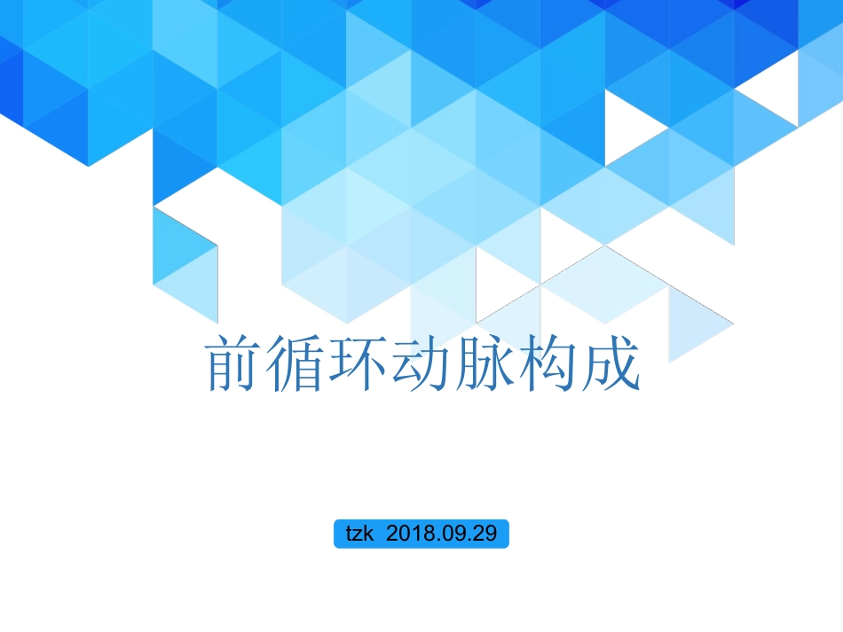 前循环动脉构成_第1页