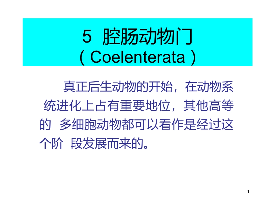 腔肠动物主要特征_第1页