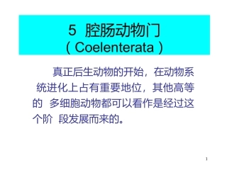 腔肠动物主要特征