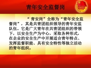 青安岗活动开展如何见实效专题培训课件