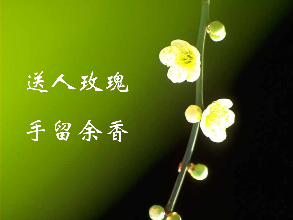 青霉素过敏试验法及过敏反应的处置_第1页