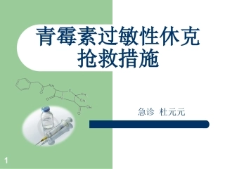 青霉素过敏性休克抢救措施课件