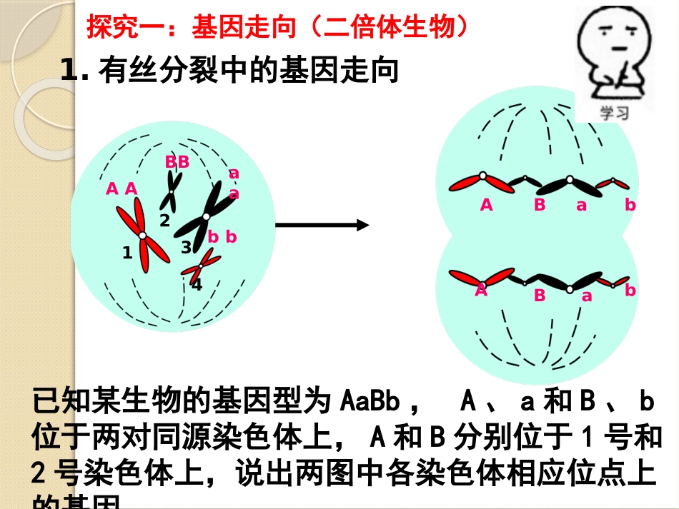 染色体数目异常遗传病分析_第2页