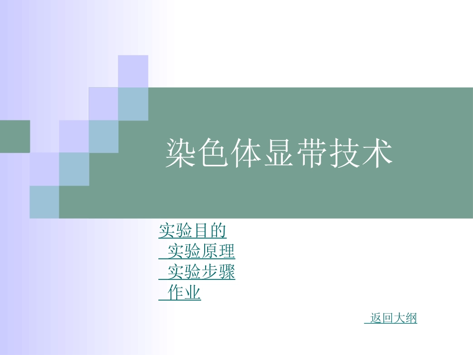 染色体显带的技术_第1页