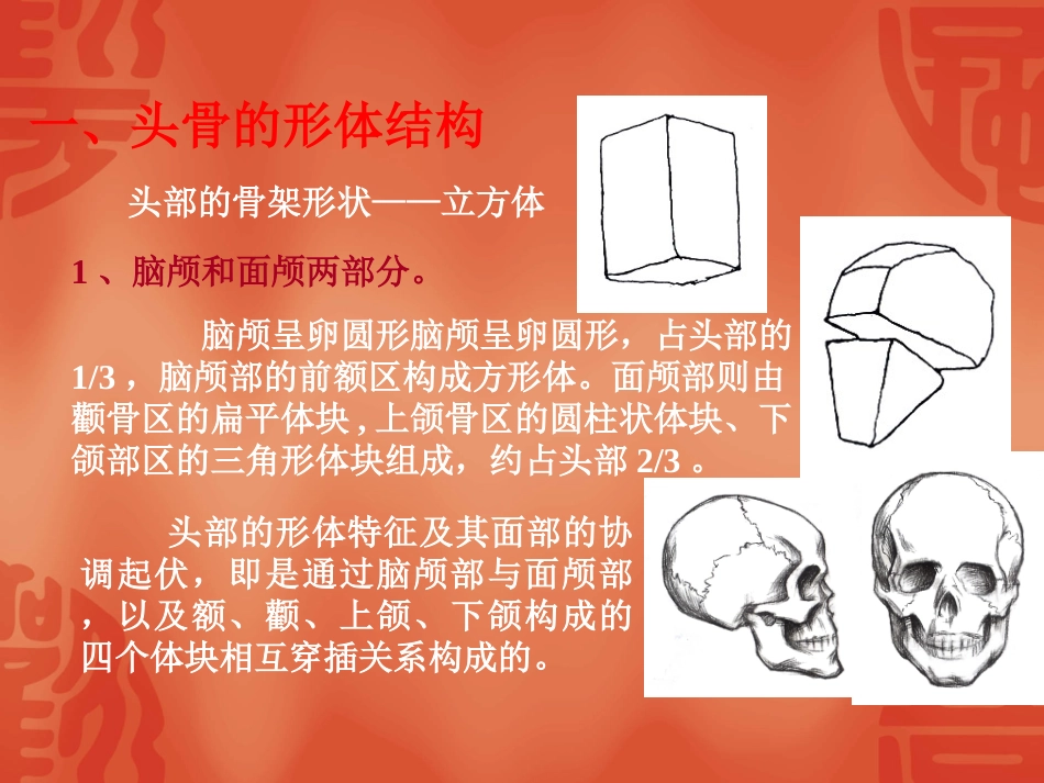 人的头部结构课件_第2页