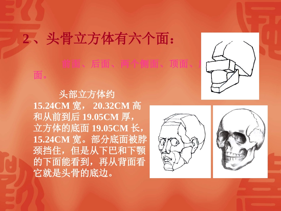 人的头部结构课件_第3页
