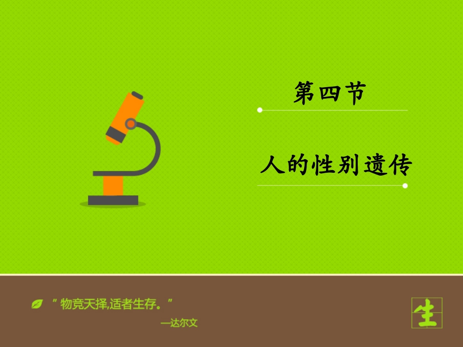 人的性别遗传课件_第1页