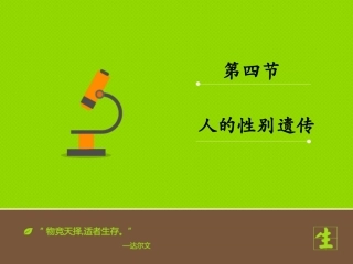 人的性别遗传课件
