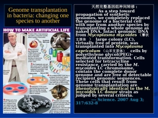 人工合成基因组