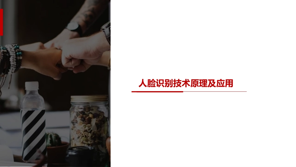 人脸识别比对系统_第1页