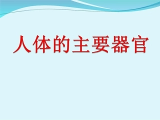 人体的主要器官