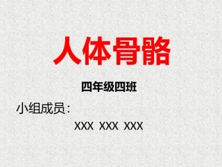 人体骨骼常识