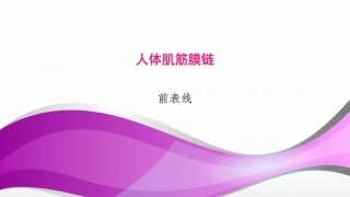 人体肌筋膜链