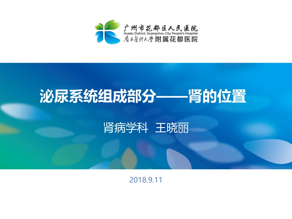 人体泌尿系统的组成肾的位置_第1页