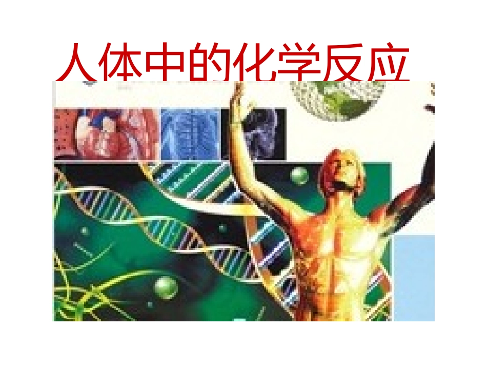 人体中的化学反应_第1页