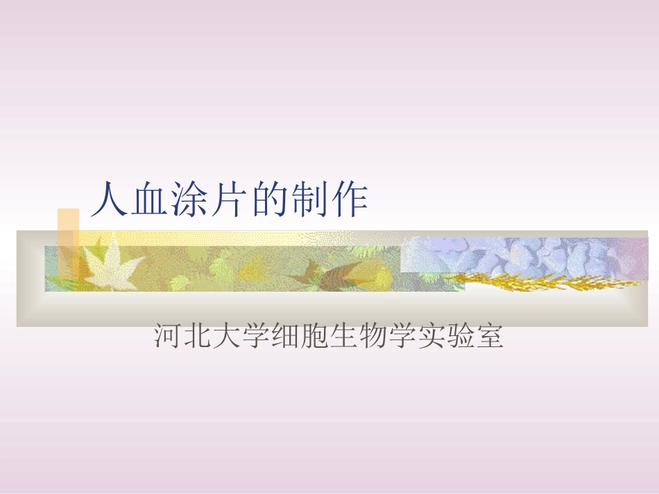 人血涂片制作整理_第1页