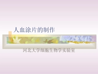 人血涂片制作整理