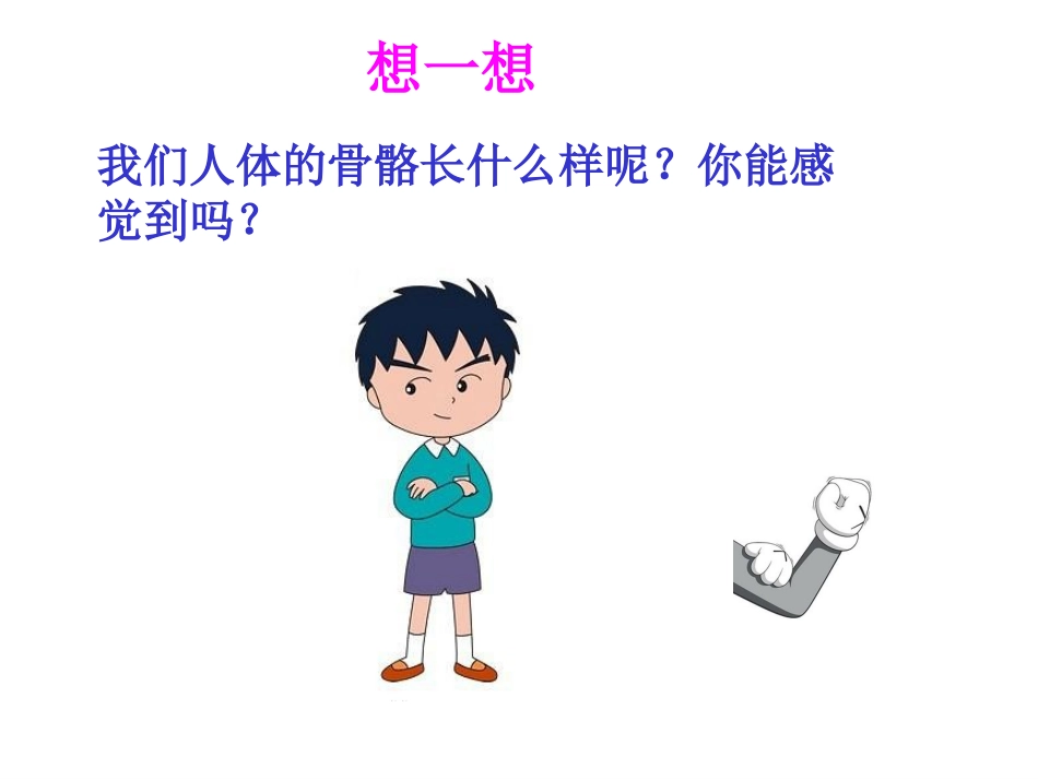 认识骨骼课件_第3页