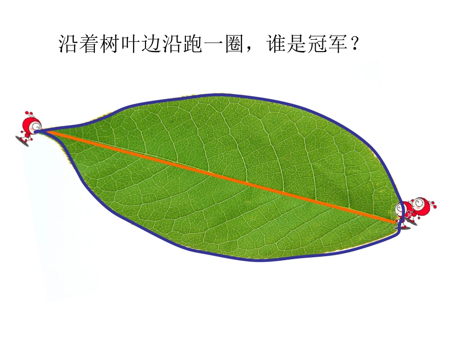 认识周长课件_第2页