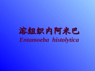 溶组织内阿米巴