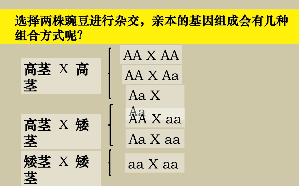 如何判断显隐性性状优秀课件_第3页