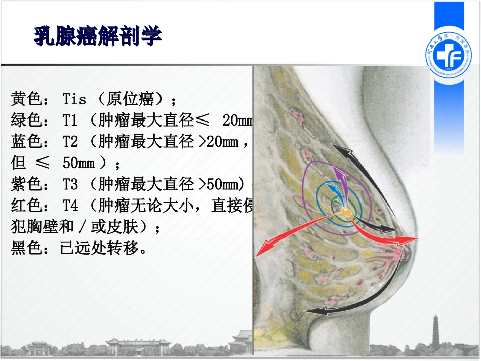 乳腺癌的保乳治疗_第2页