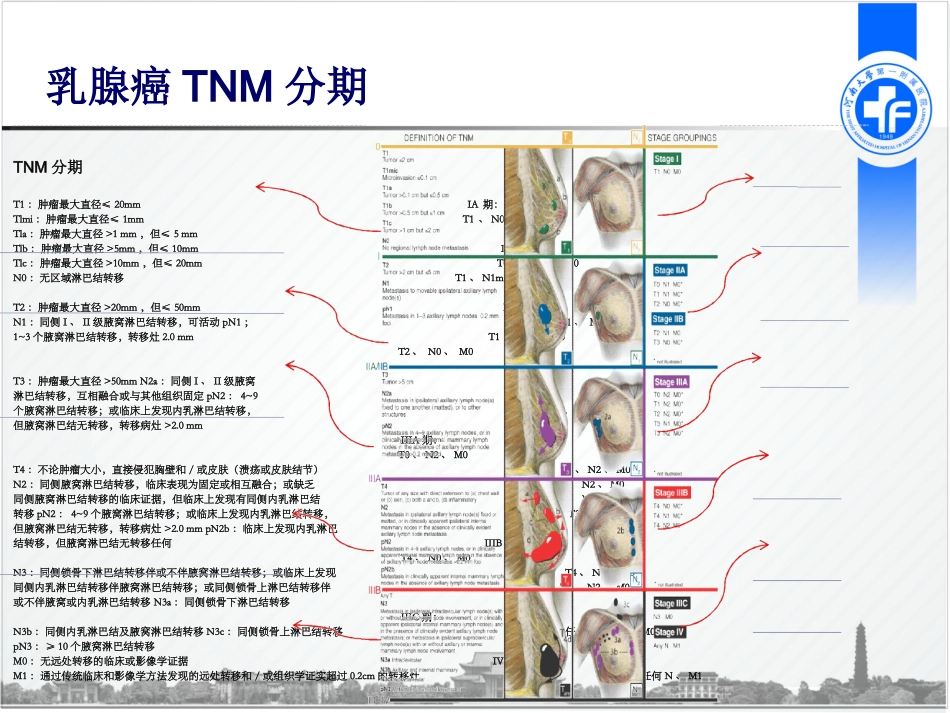 乳腺癌的保乳治疗_第3页