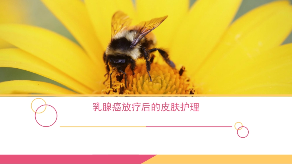乳腺癌放疗后的皮肤护理医学课件_第1页