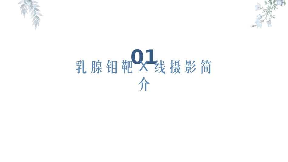 乳腺钼靶X线摄影知识患者健康宣教_第3页