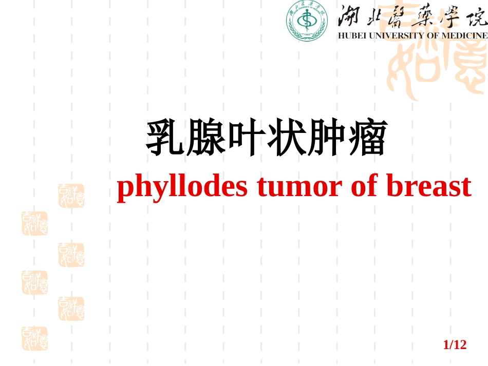 乳腺叶状肿瘤_第1页