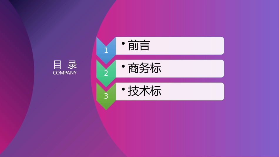 软件开发服务项目投标文件编制_第2页