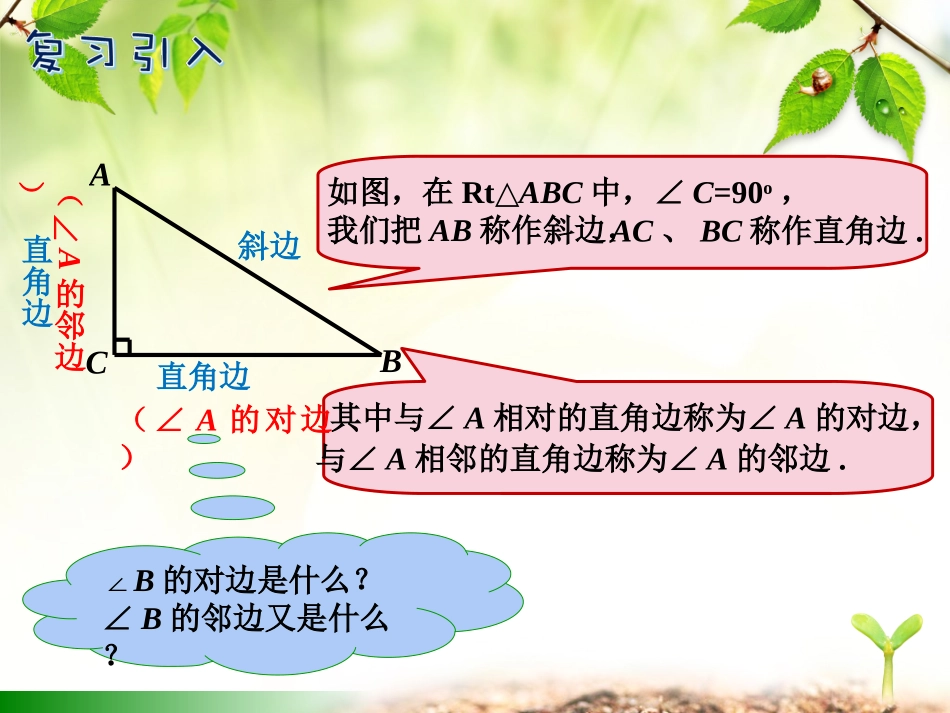 锐角的三角比的意义_第3页