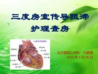 三度房室传导阻滞护理查房