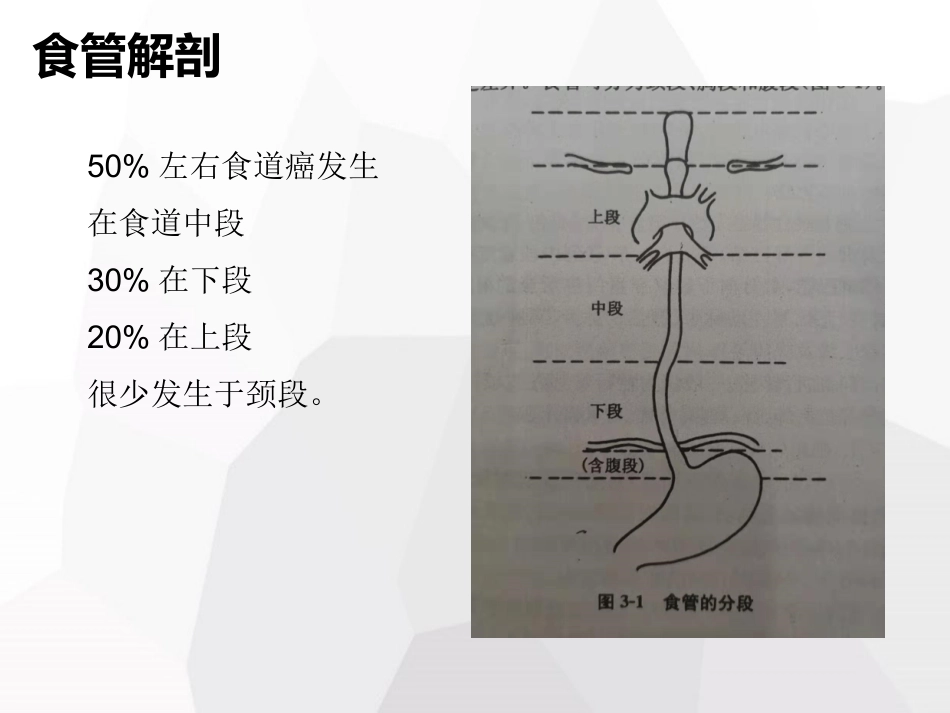 三切口食管癌术中护理配合_第3页