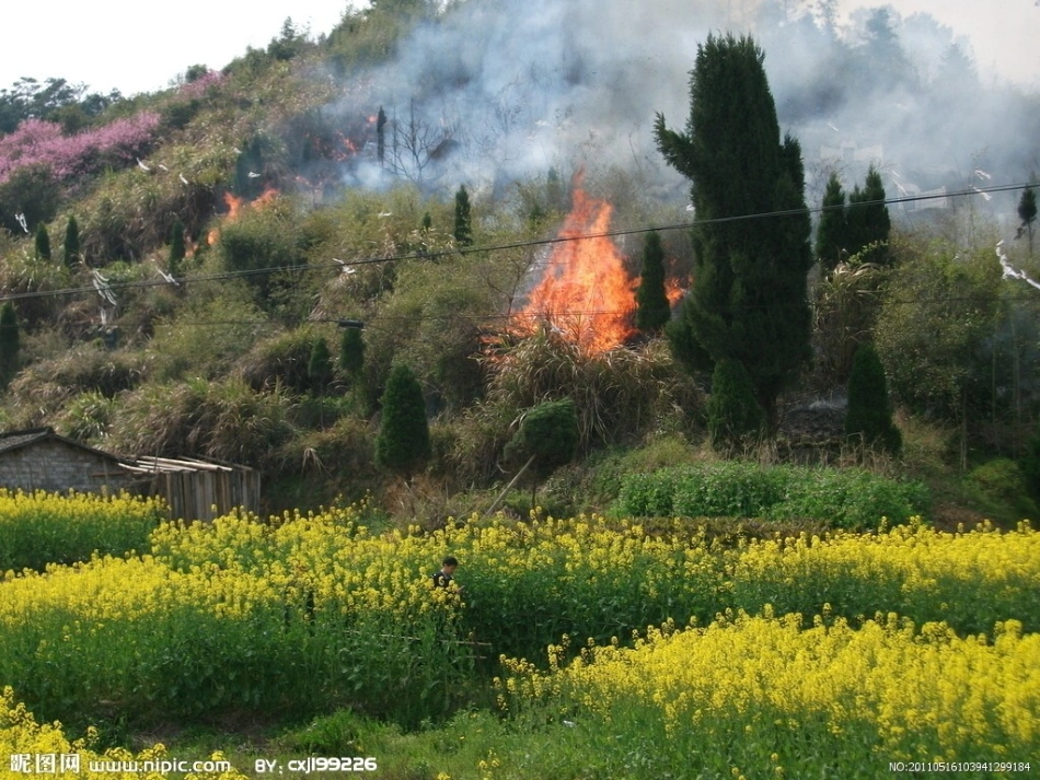 森林防火培训课件_第3页