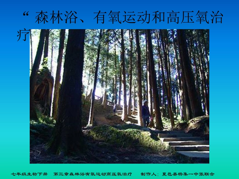 森林浴有氧运动高压氧治疗_第1页