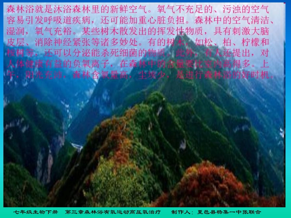森林浴有氧运动高压氧治疗_第3页
